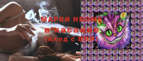 шишки Гусь-Хрустальный