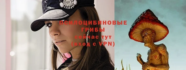 кокаин колумбия Новозыбков