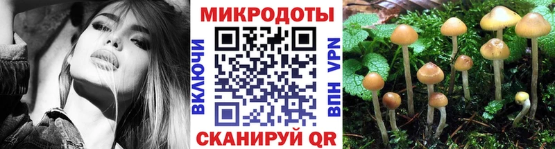 купить наркоту Кропоткин Псилоцибиновые грибы Magic Shrooms