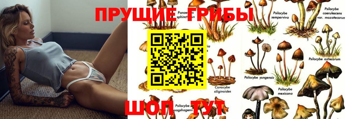 где можно купить наркотик  Вход с VPN  Кропоткин  Псилоцибиновые грибы Cubensis  Галлюциногенные грибы ЛСД 